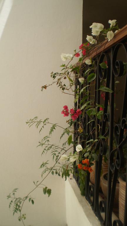 Dar Darek Hotel Essaouira Luaran gambar